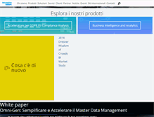 Tablet Screenshot of informationbuilders.it